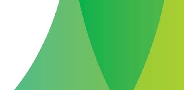 Decorative header background